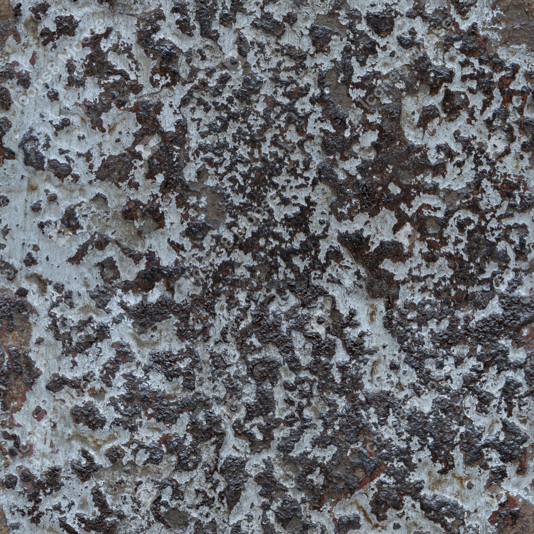 Roche noire couverte de lichens