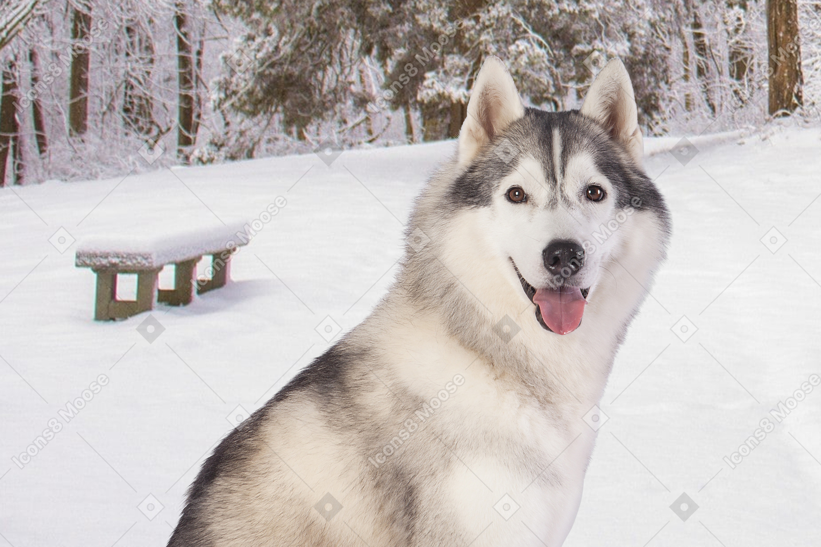 Cachorro feliz na neve