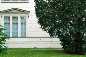 Weißes gebäude mit einem baum