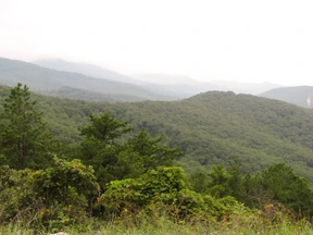 Nature