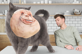 Cat with a crying face walking on the table while a young man looking at it