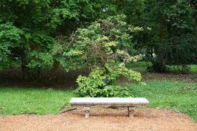 Banco en el jardín es simplemente un lugar perfecto