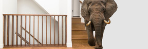 An elephant walking up a flight of stairs