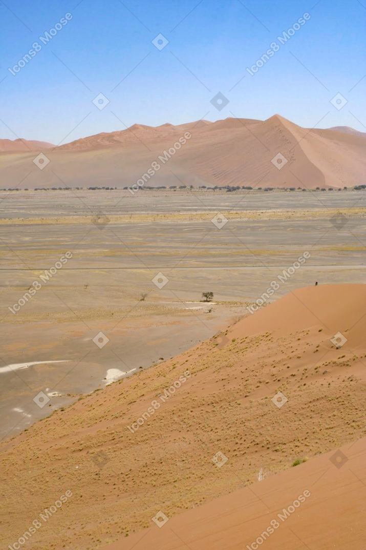 Horizonless sands