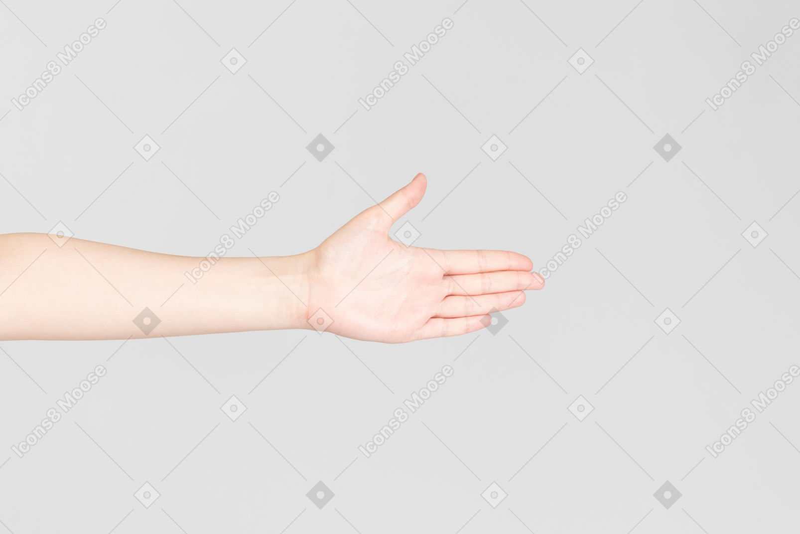 Mirada lateral de la palma de la mano femenina