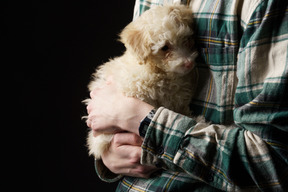 Close-up de um humano em uma camisa quadriculada segurando um pequeno poodle