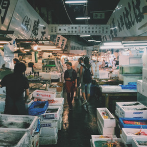 餐饮