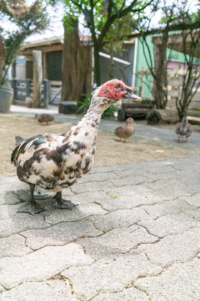 餐饮