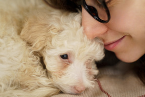 Close-up de uma jovem mulher de óculos beijando seu pequeno poodle