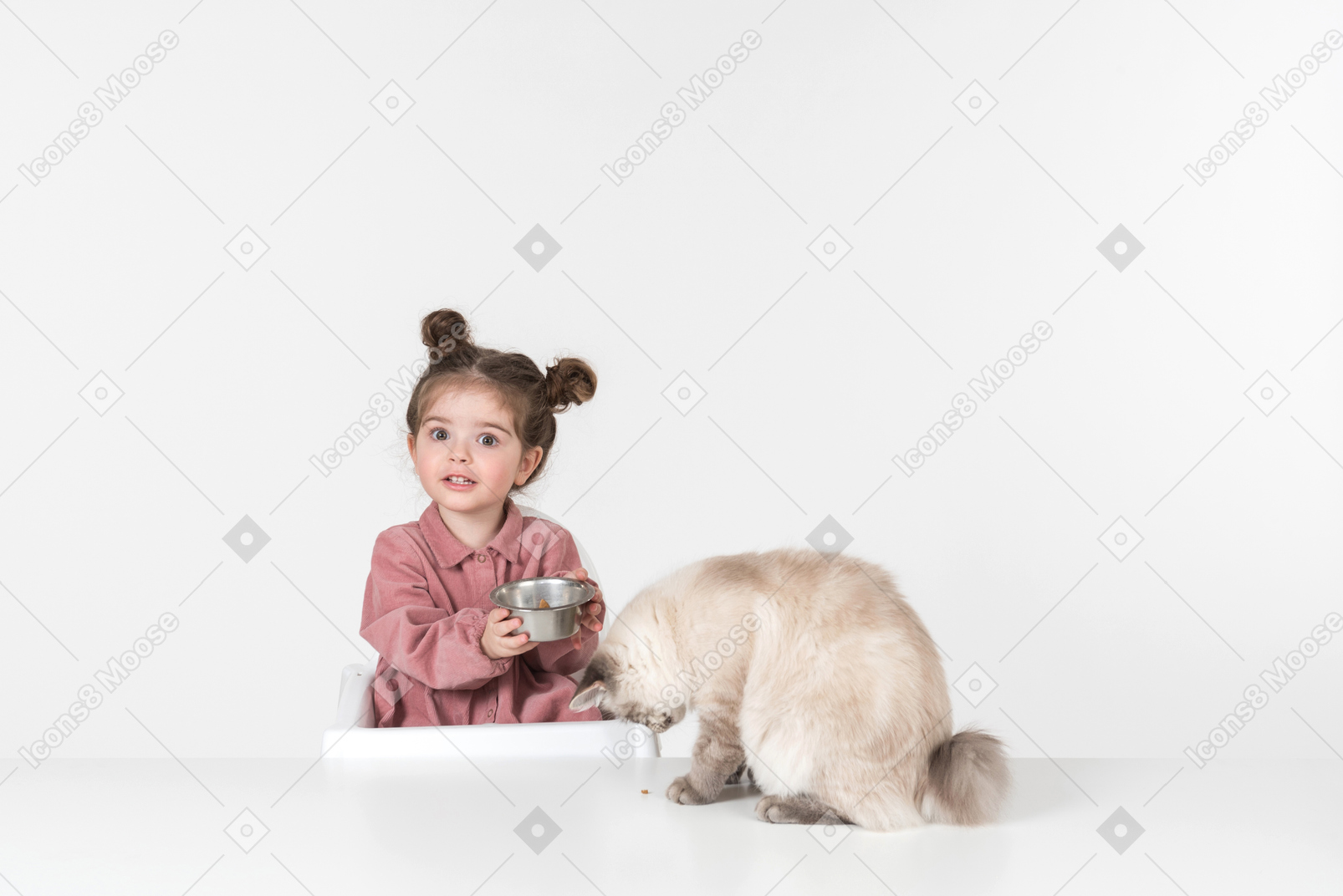 Kleines kind mädchen die katze füttern