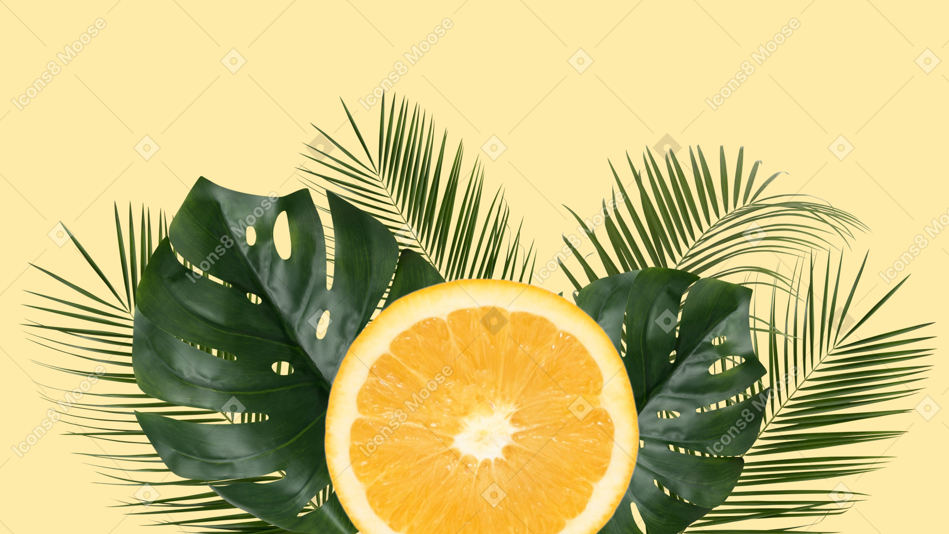 A half of orange on tropical leaves 