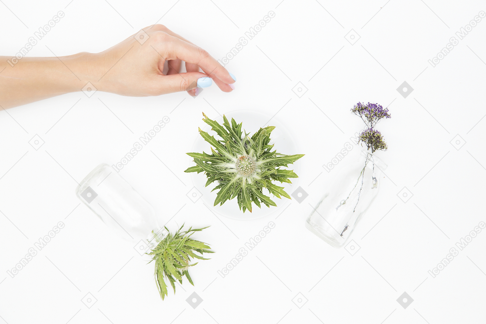 Female hand next to the different glass objects and green plants