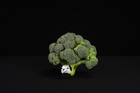 Jouet animal blanc sous le brocoli en fond noir