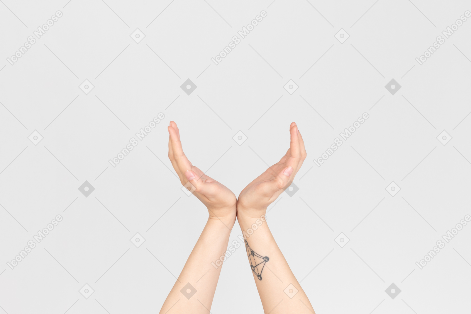 Женские руки, показывающие вид полукруга