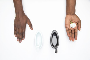 Black male hands holding white flowers