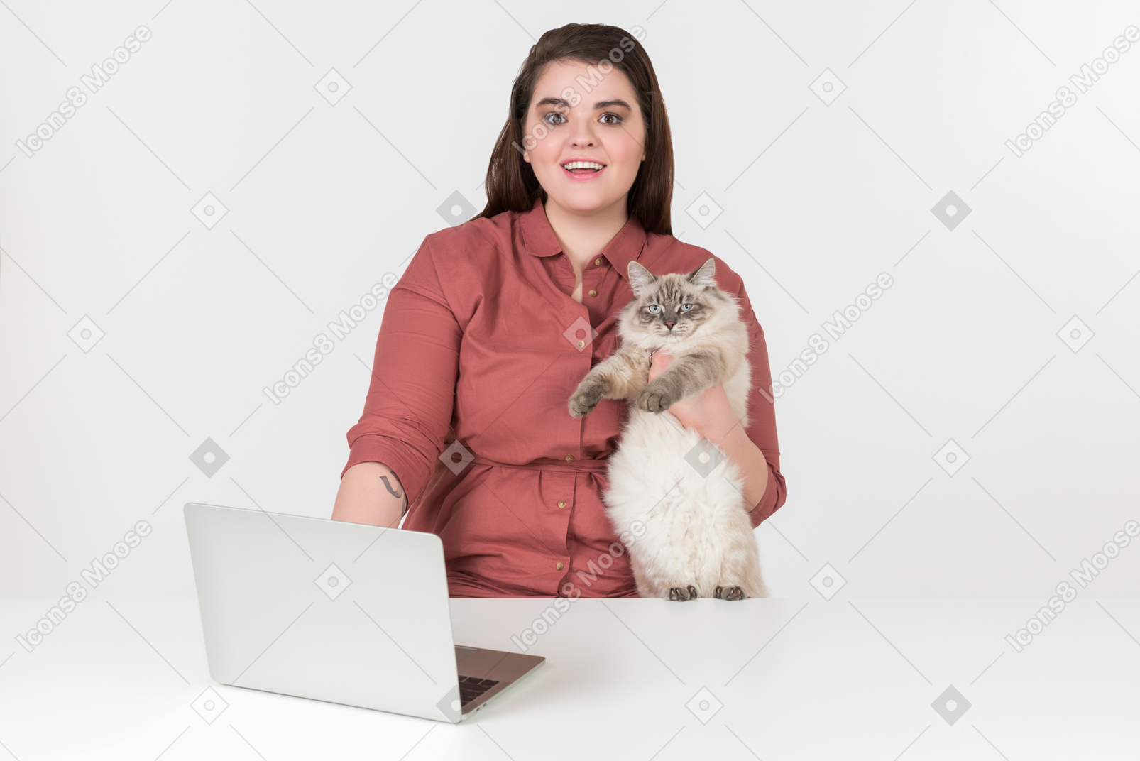 Surfing in the internet together with mr cat