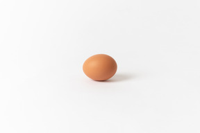 Brown chicken egg on a white background