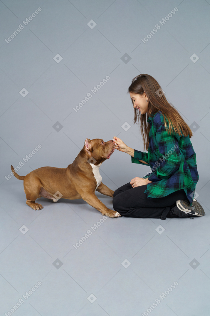 Comprimento total de uma mulher sentada e brincando com seu bulldog marrom