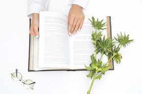 Book and plant