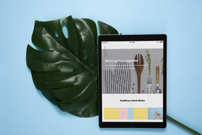 Tablet digital e folha de monstera sobre fundo azul