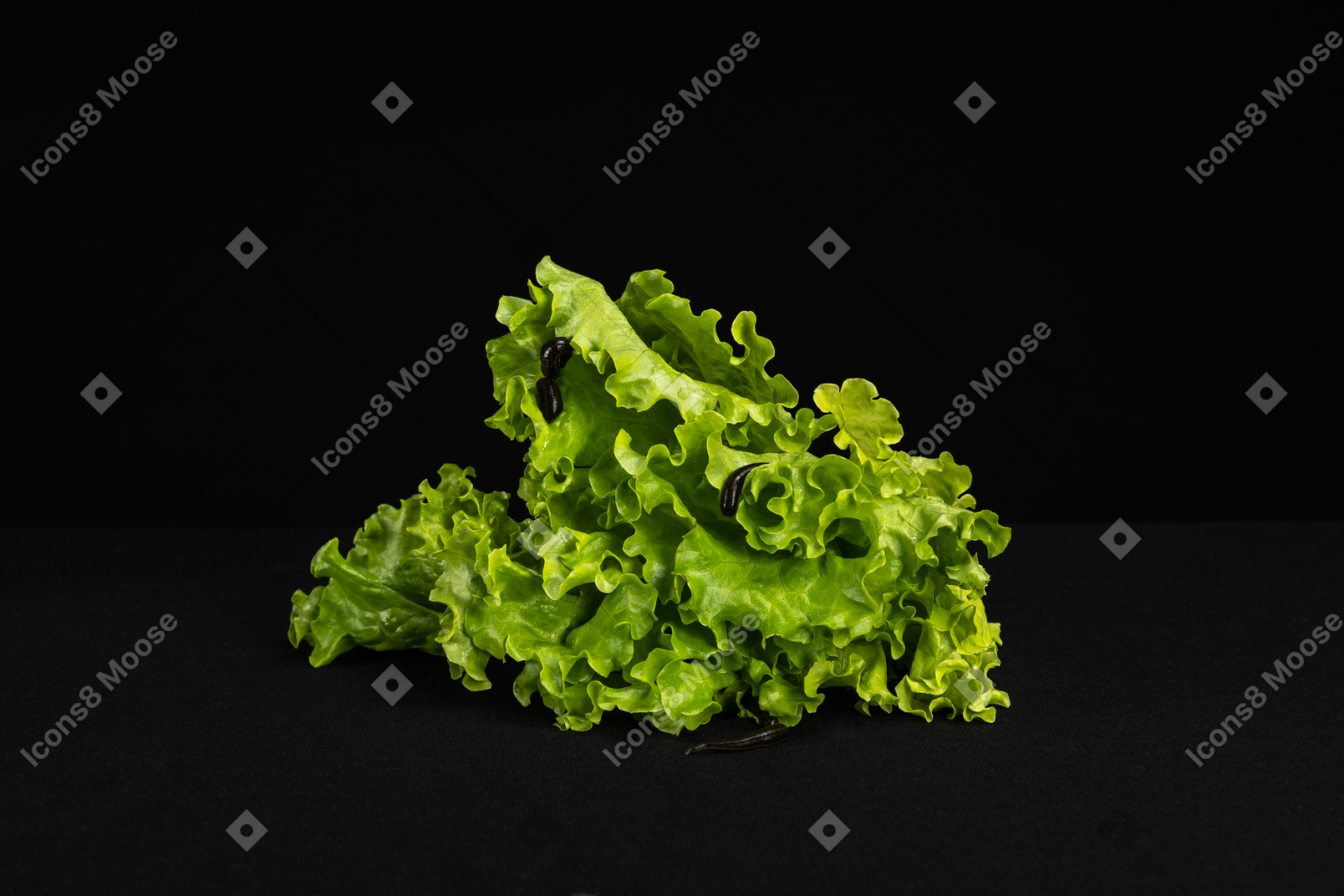 Pile of green lettuce with worms on it