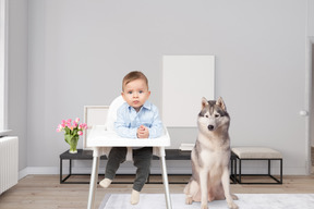 A baby sitting in a high chair next to a dog