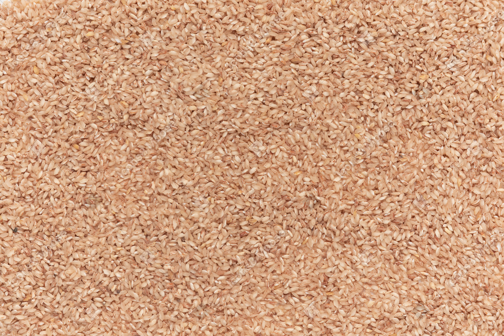 Background of brown seeds