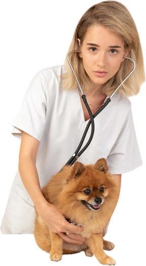 Healthcare