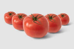 A row of five tomatoes with green stems