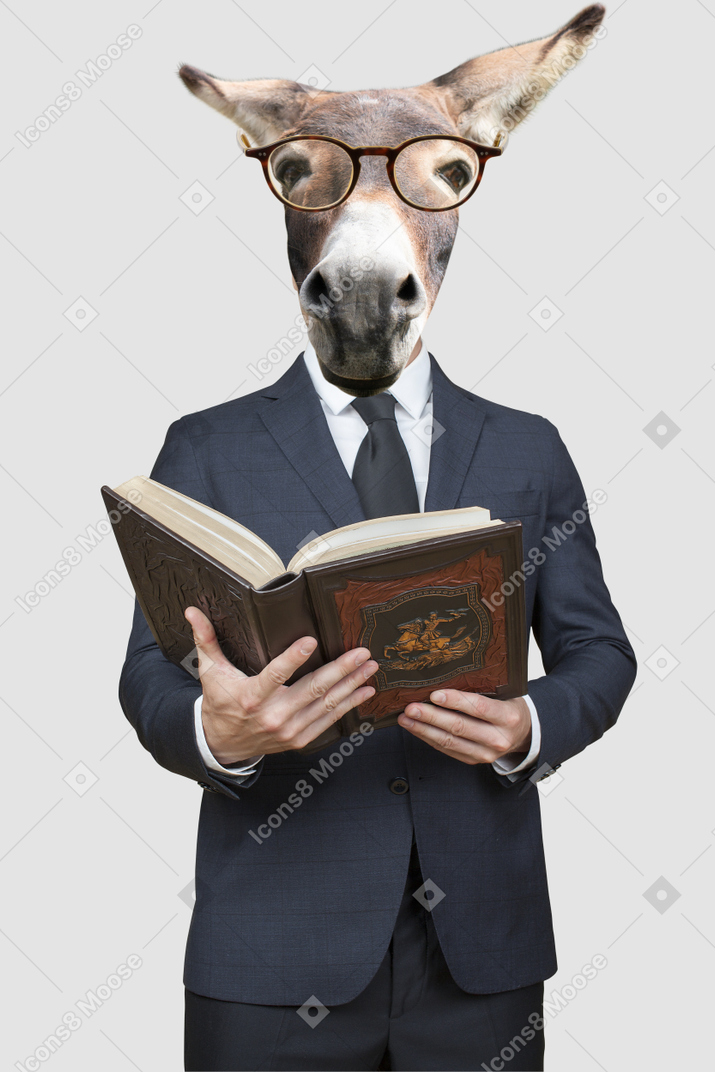 A donkey wearing glasses and holding a book