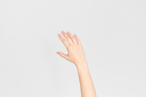 Female hand on white background