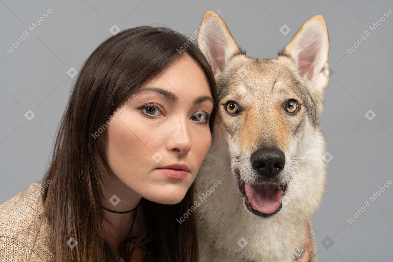 若い女性とカメラを見て純血種の犬