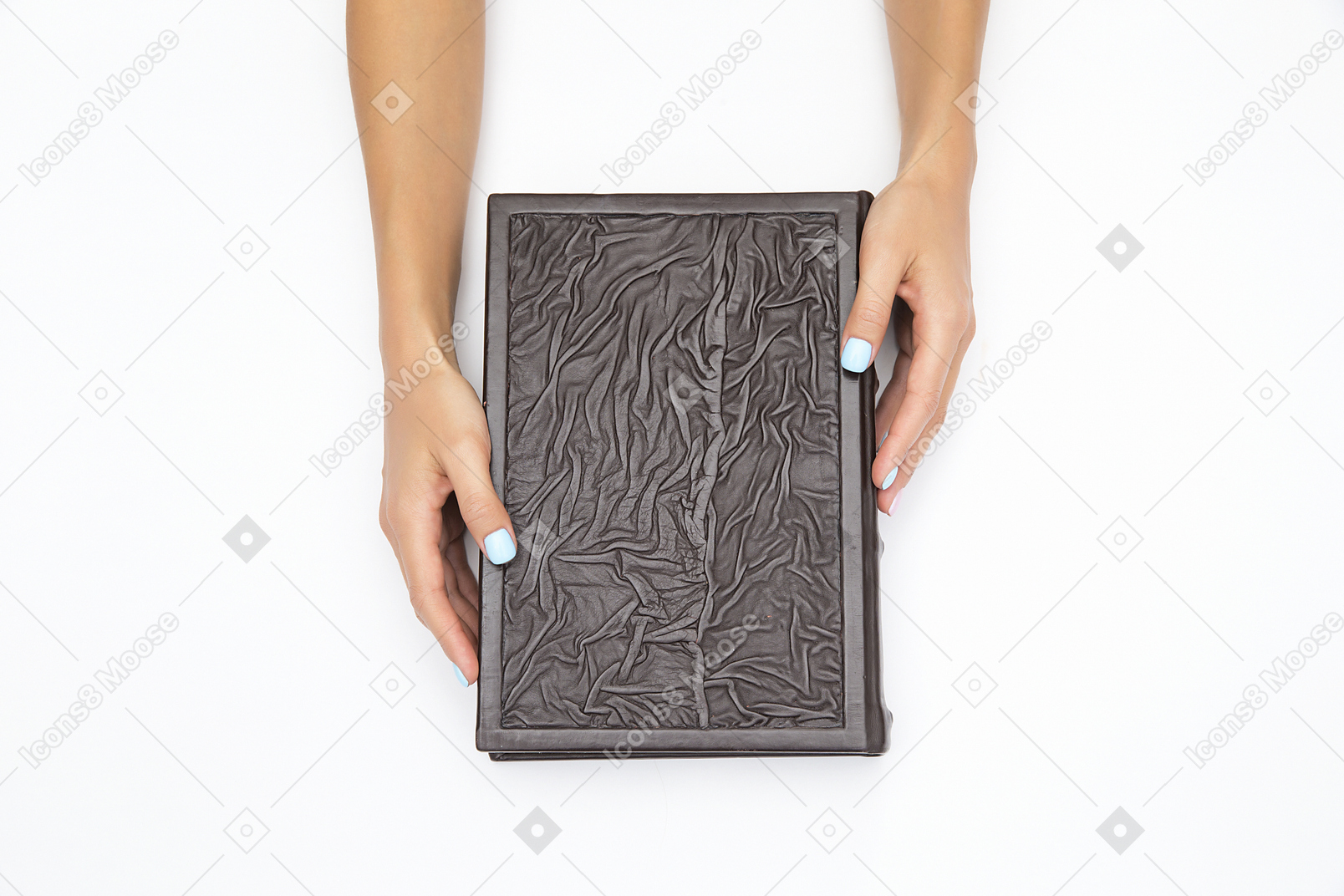 Female hands holding a black book