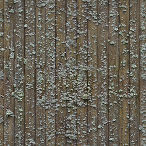 Old wooden boards with lichens