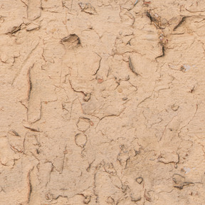 Texture de mur de plâtre beige