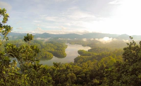 Naturaleza
