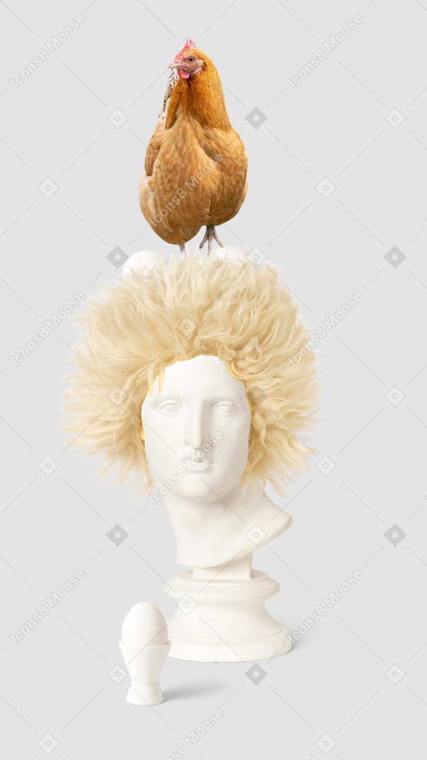 A chicken sitting on top of a bust in a wig