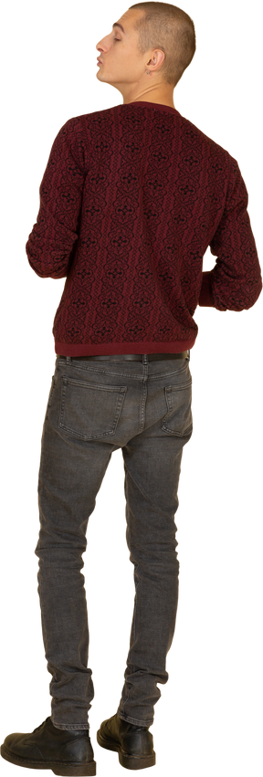 Вид сзади целующего молодого человека в красном пуловере