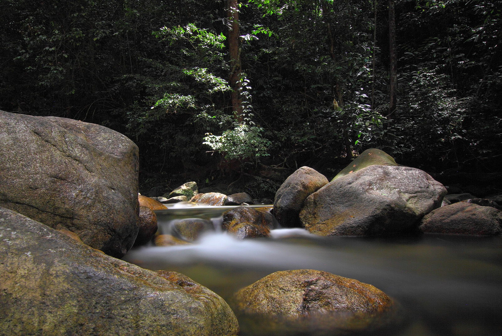 Naturaleza