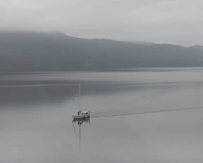 Transport