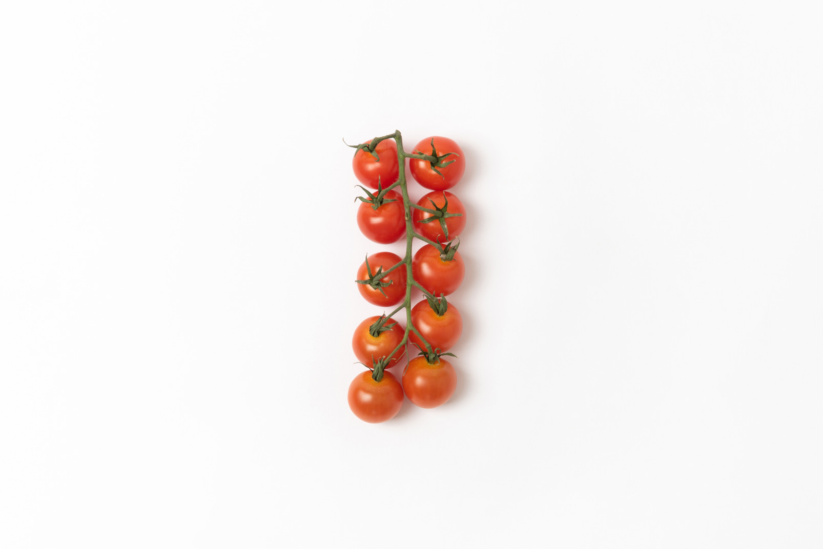 Bunch of ripe red tomatoes