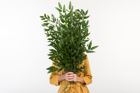 Mujer joven cerrando la cara con ramo de ramas verdes