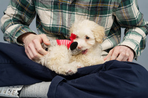 Close-up of a master in a checked shirt playing with white poodle