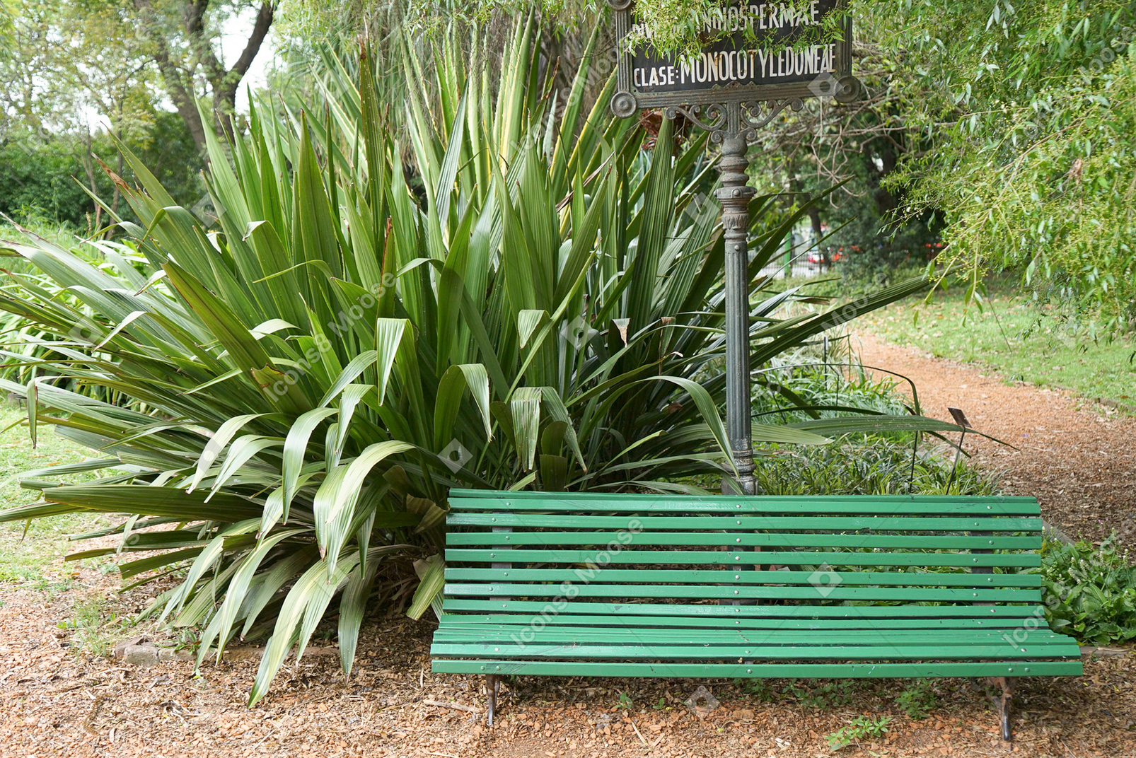 Green bench with plants and a sign
