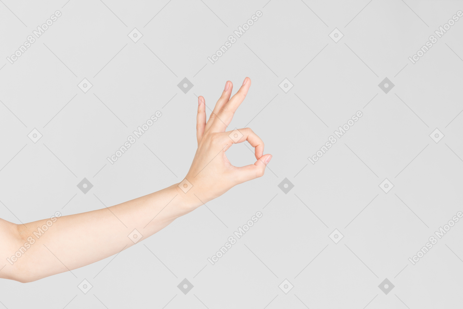 Female hands clapped together