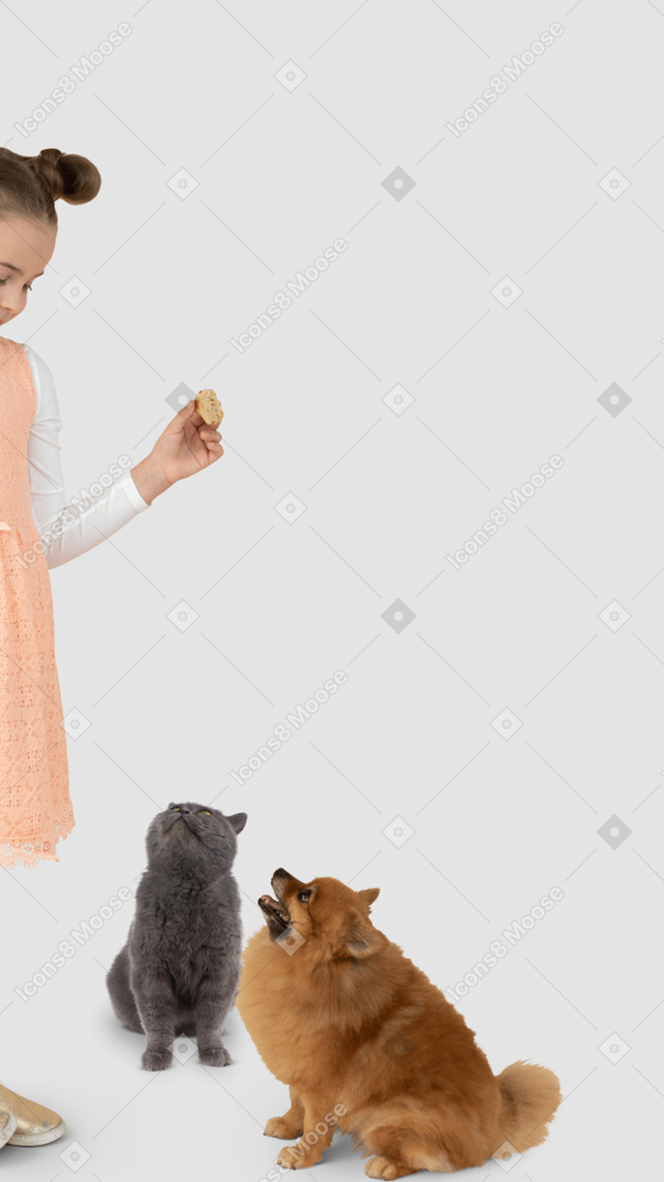 A little girl standing in front of a cat and a dog