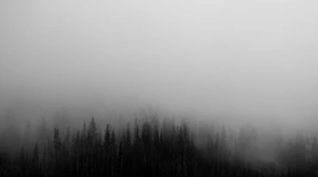 Naturaleza