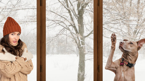 A woman standing in front of a window next to a dog