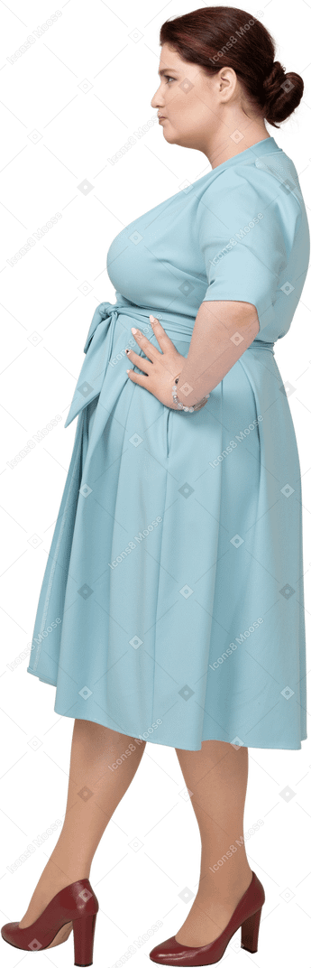 腰に手でポーズをとって青いドレスを着た女性の側面図