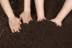 Mains humaines sales après le jardinage